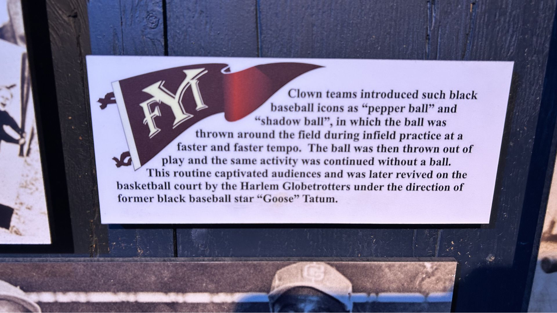 Shadow ball and clown teams exhibit